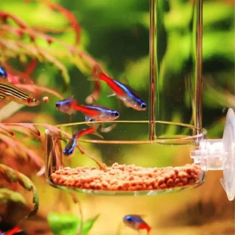 Akvarium Matarrör Transparent Design För Räkor Och Små Fiskar 5