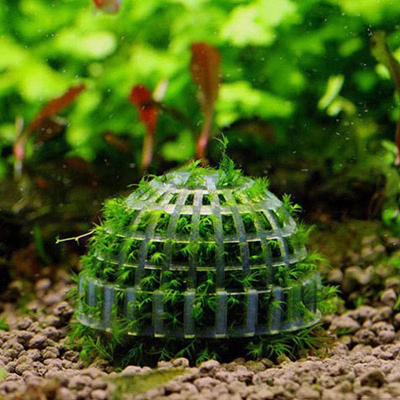 Aquarium Decoration Mossball for Fish and Shrimp 1