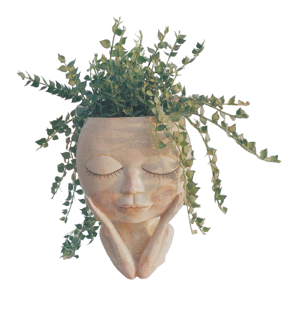 Charmig Blomkruka med Ansikte 5