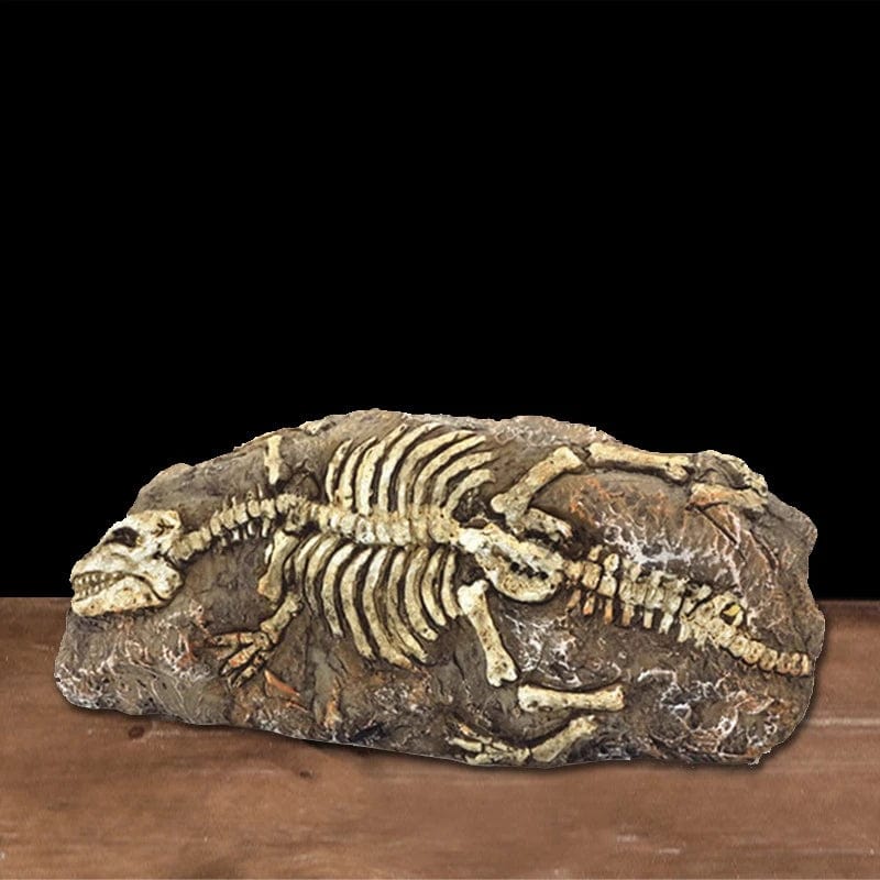 Dekorativ Akvariedekoration Dinosaurieskelett för Söt- och Saltvatten 5