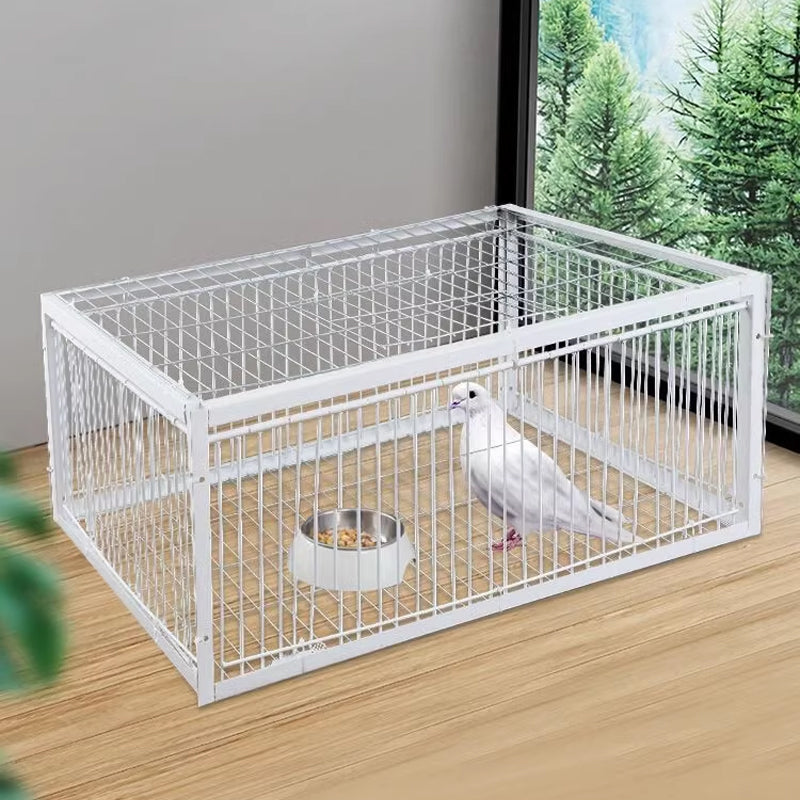 Djurvänlig Fågelfälla Envägsdesign för Trädgårdar och Utomhusområden 2