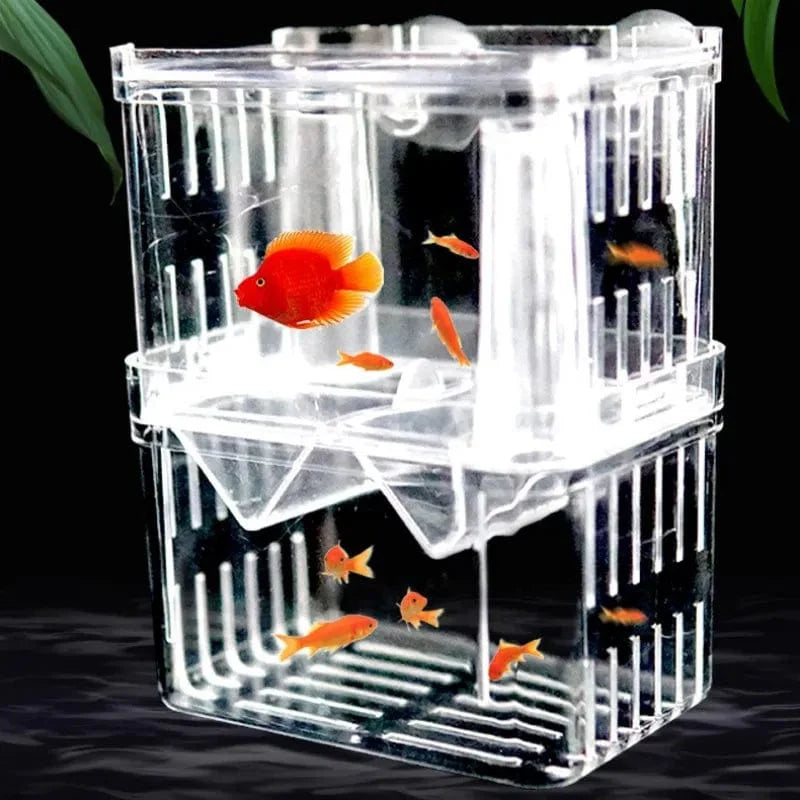 Dubbeldäckad Akvarium för Fiskuppfödning Transparent Design 1