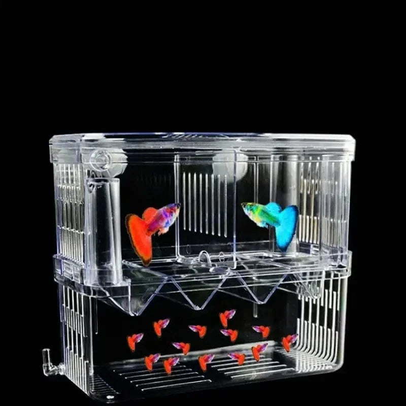 Dubbeldäckad Akvarium för Fiskuppfödning Transparent Design 2
