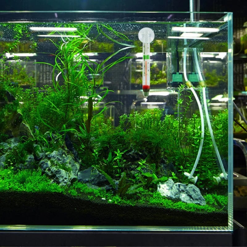 Flytande Akvarietermometer med Sugkopp 1