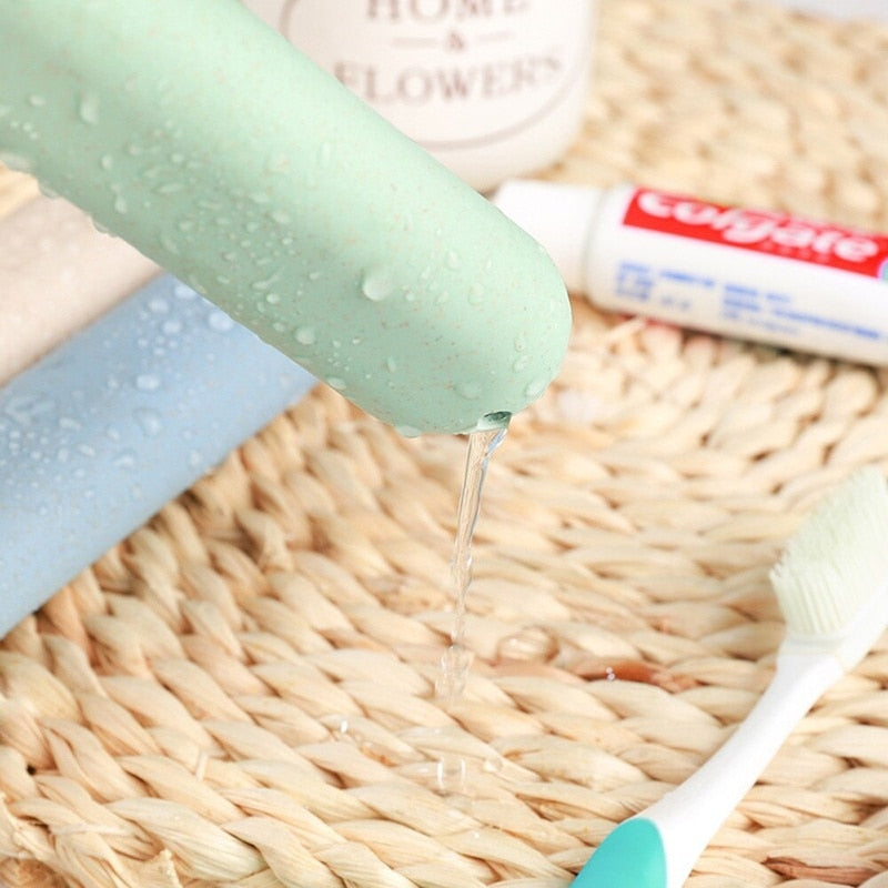 Tandborstfodral av vetestrå