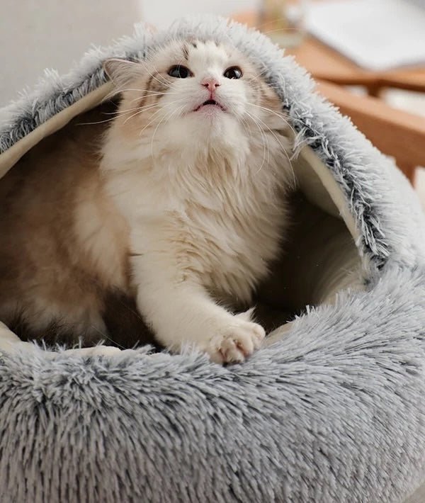 Hund- och Kattsäng CozyNest med Ortopedisk Design 1