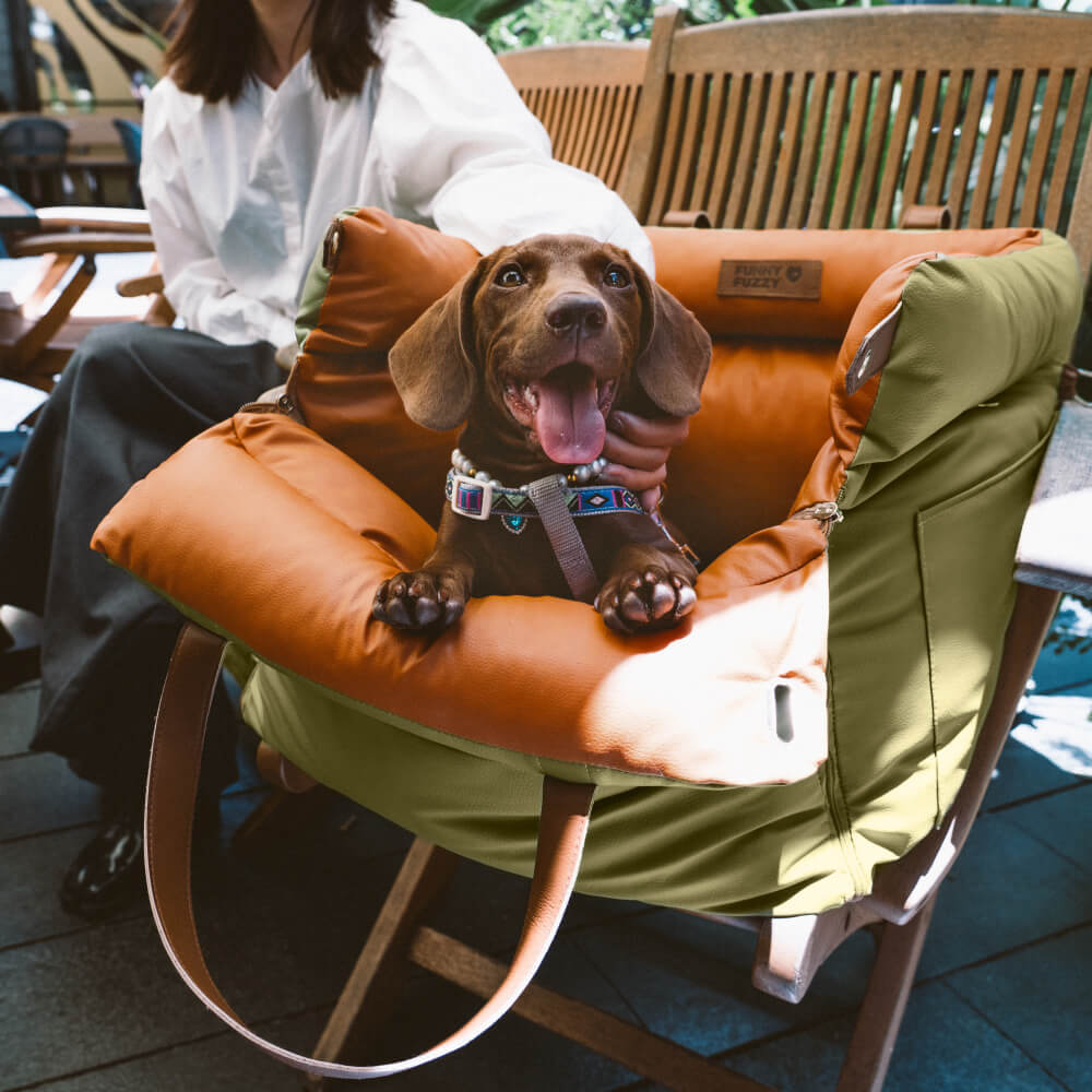 Hundbilstol för bekväm och säker resa 4