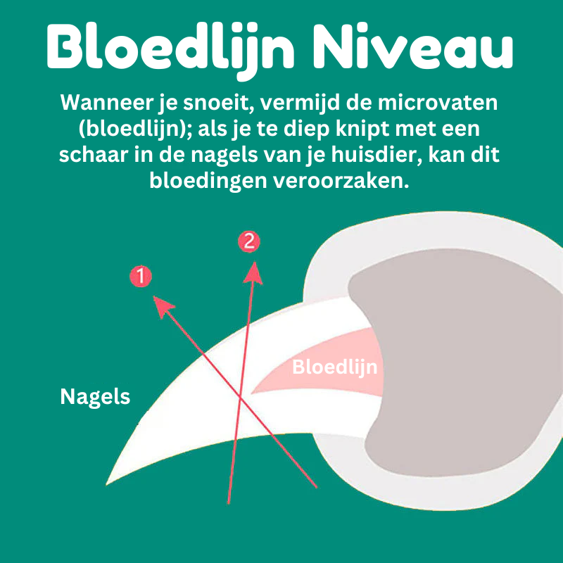 Hundens Nagelklippare med Sensorer För Säkra Klippningar 8