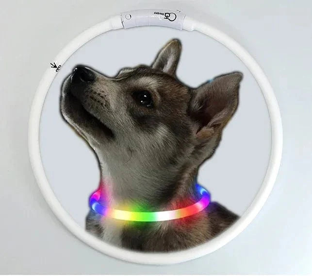 Hundhalsband LED Laddningsbart Färgglatt 0