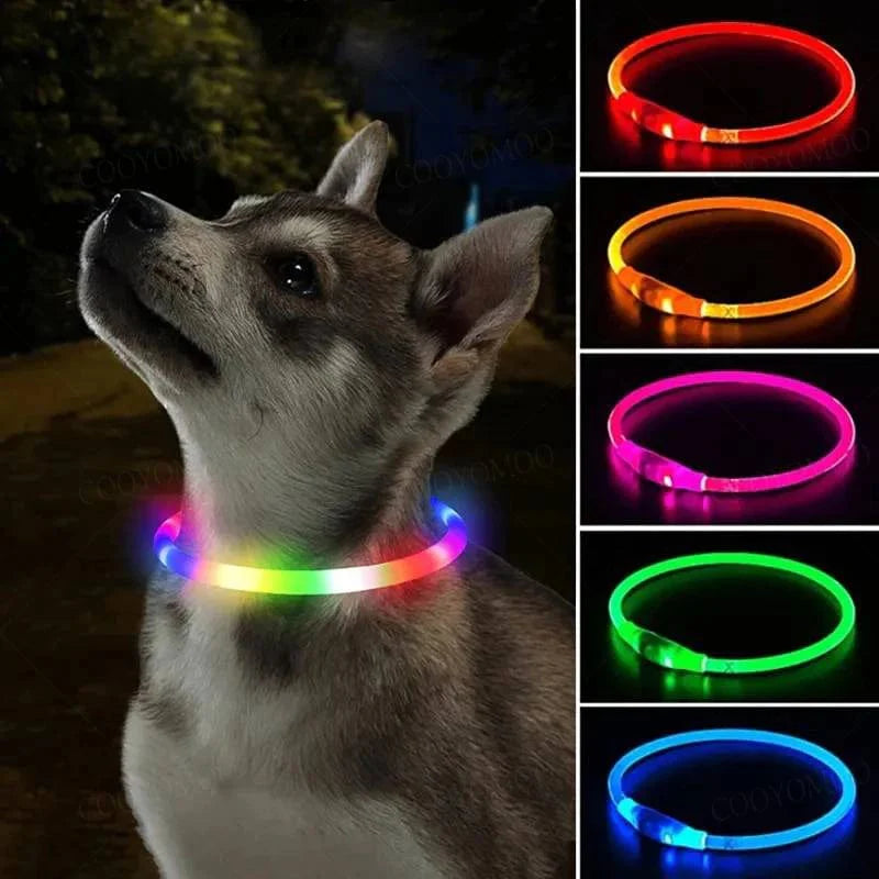 Hundhalsband LED Laddningsbart Färgglatt 1