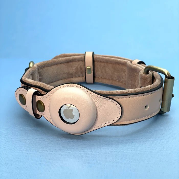 Hundhalsband med AirTag-fäste Slitstark Vattentålig Design för Trygghet och Komfort 4