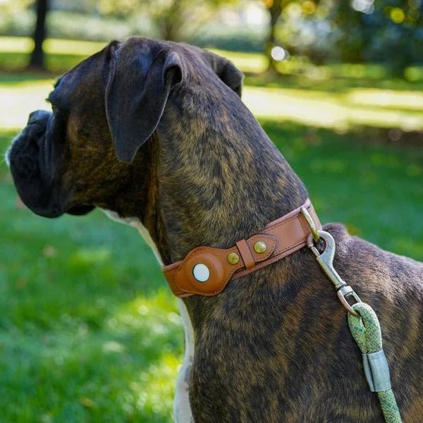 Hundhalsband med AirTag-fäste Slitstark Vattentålig Design för Trygghet och Komfort 9