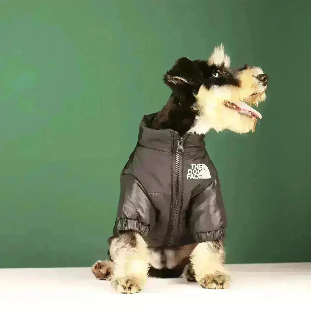 Hundjacka med Ansikte Typ A 1