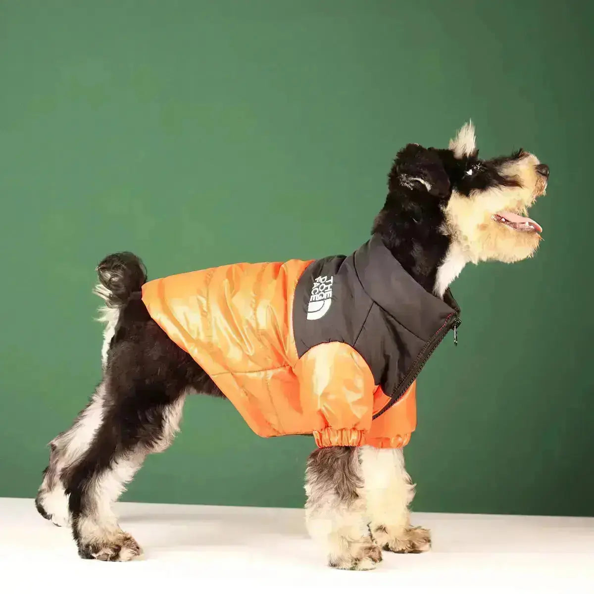 Hundjacka med Ansikte Typ A 7