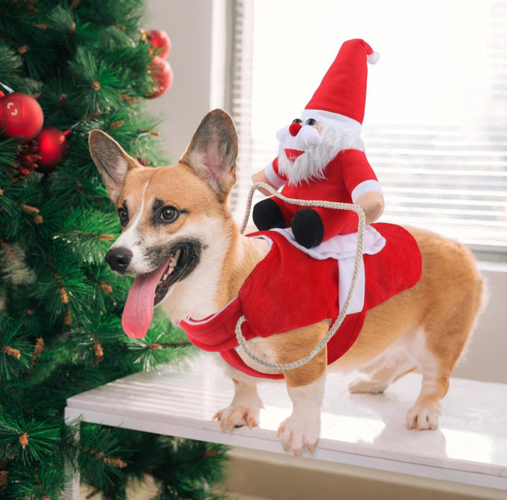 Hundkostym för Julfirande Festlig 0