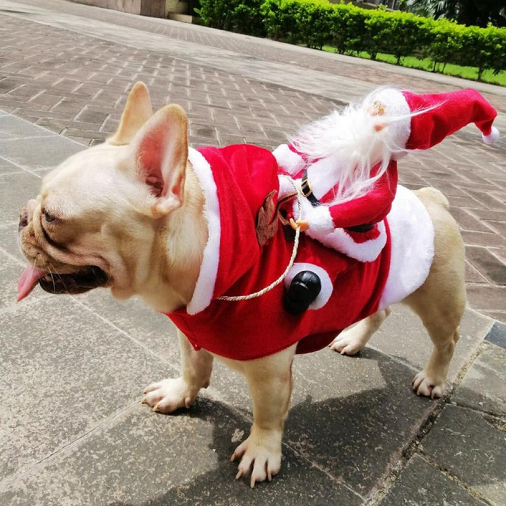 Hundkostym för Julfirande Festlig 8