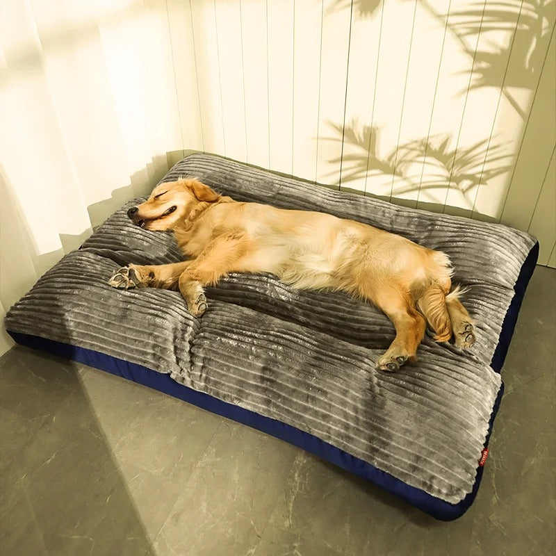 Hundkudde Med Avtagbart Fodral Och Stöd 0