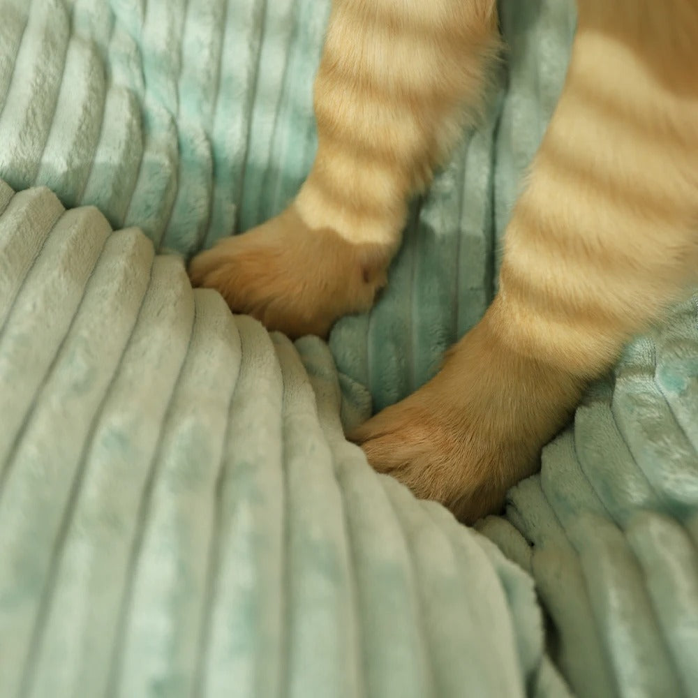 Hundkudde Med Avtagbart Fodral Och Stöd 6