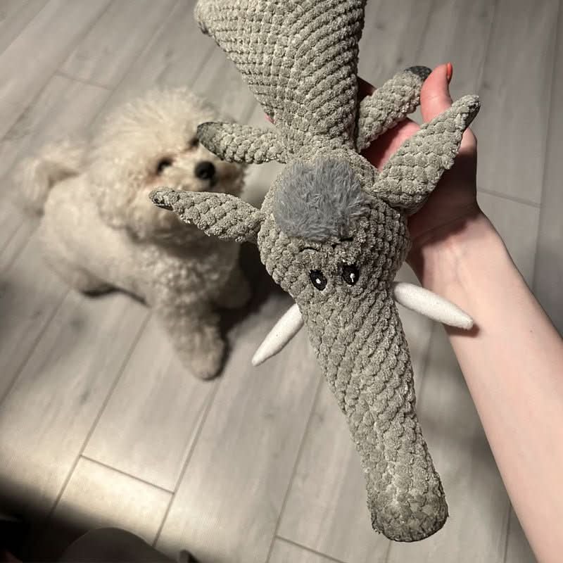 Hundleksak för Aggressiva Tuggare Interaktiv och Slitstark Hund Leksak 4