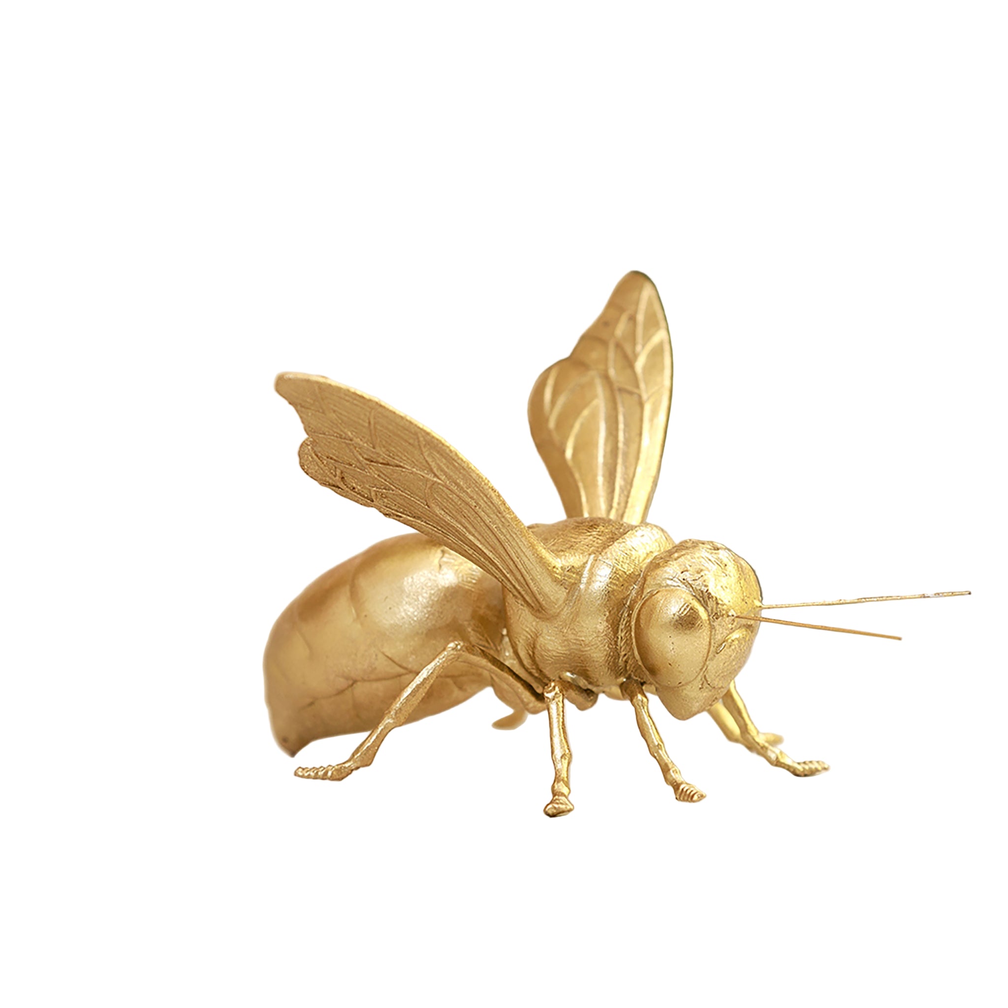 Inredning Dekoration Golden Bee Accent för Hemmet 0