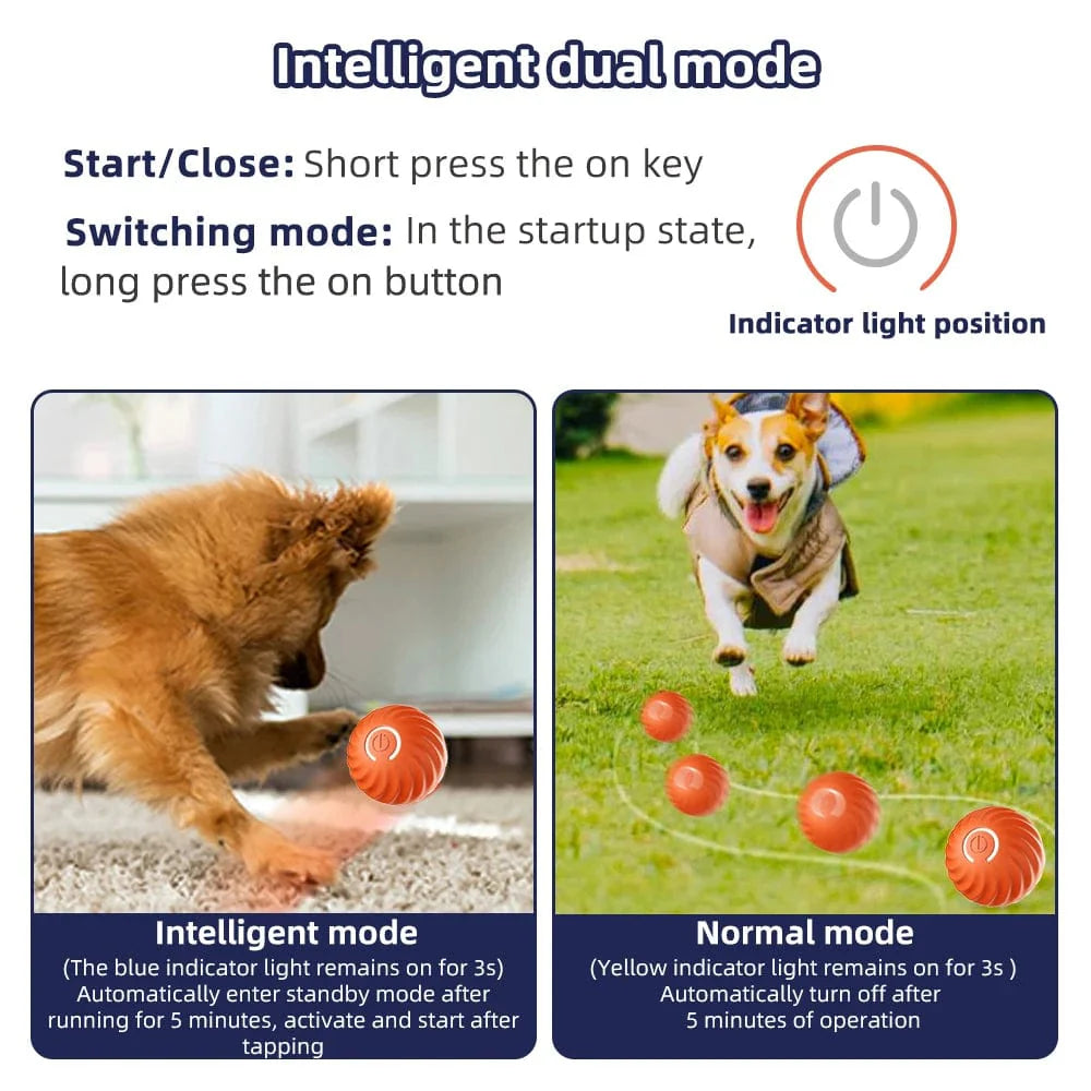 Interaktiv Hundleksak Boll för Små och Medelstora Hundar 3