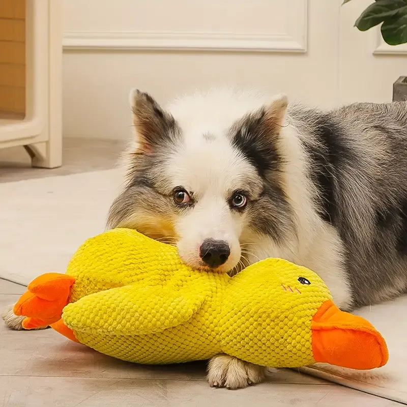 Interaktiv Hundleksak FlappyDuck Med Ljud För Aktiv Lek 1