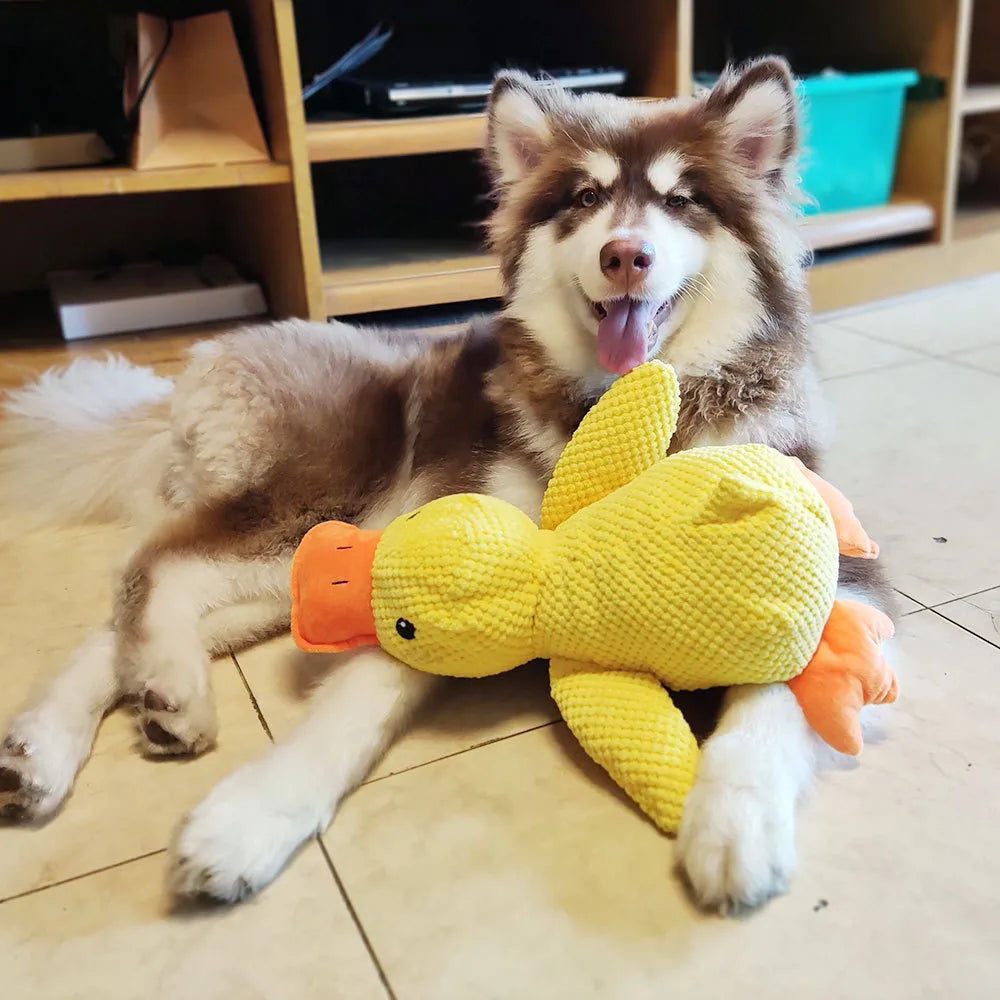 Interaktiv Hundleksak FlappyDuck Med Ljud För Aktiv Lek 2