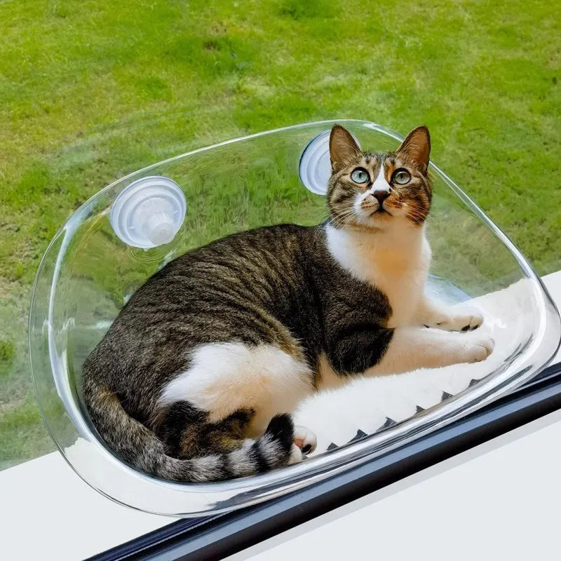 Katt Hängmatta För Fönster Med Utsikt 0