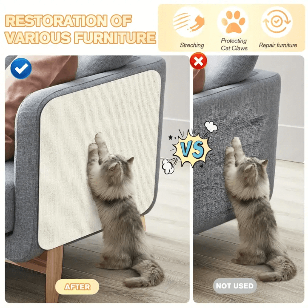 Kattens Klösmatta ScratchPro 2