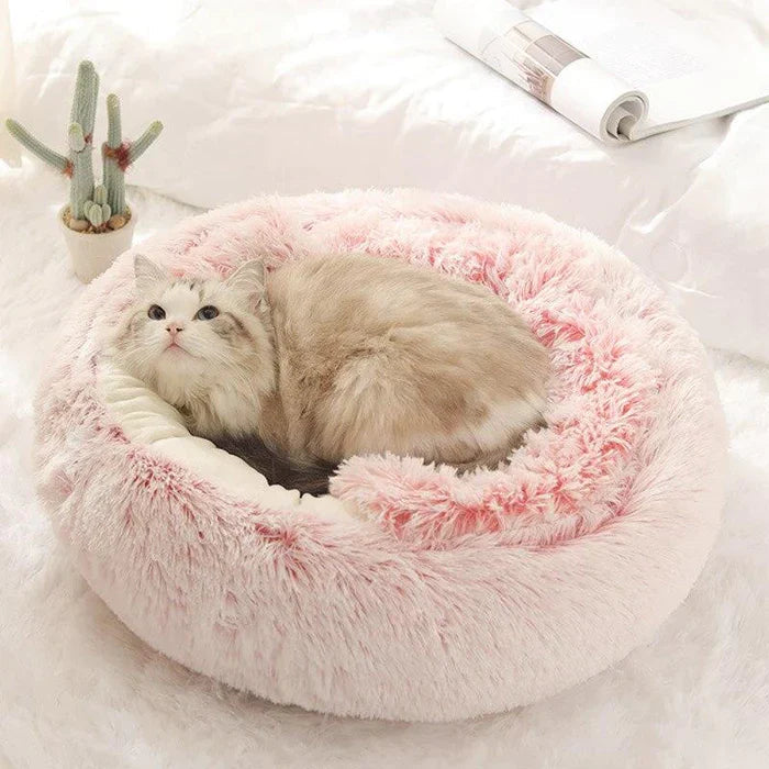 Kattkorg Halvsluten Design för Komfort 2