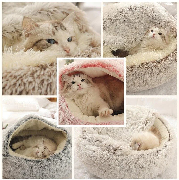 Kattkorg Halvsluten Design för Komfort 4