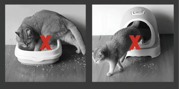 Kattmatta Stor Halkfri Vattentät 3