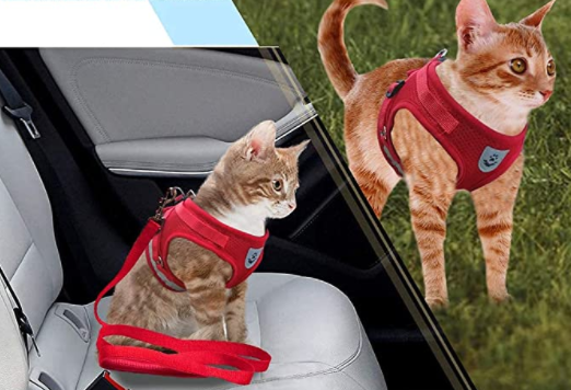 Kattsele med koppel för äventyr 3
