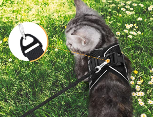 Kattsele med koppel för äventyr 4