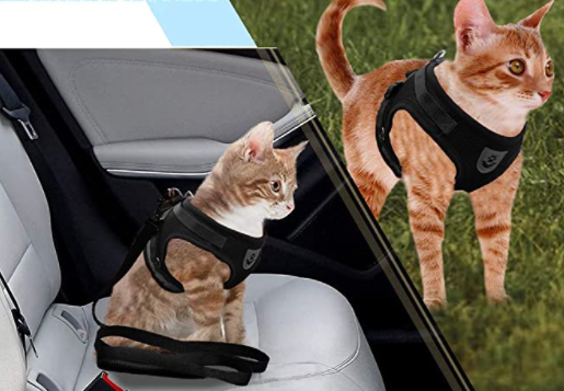 Kattsele med koppel för äventyr 5