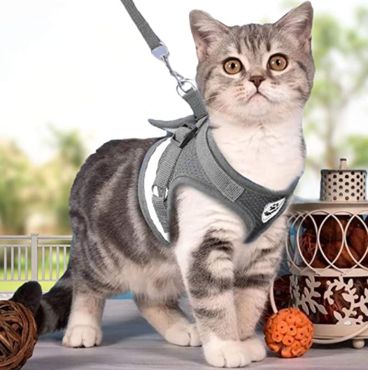 Kattsele med koppel för äventyr 6