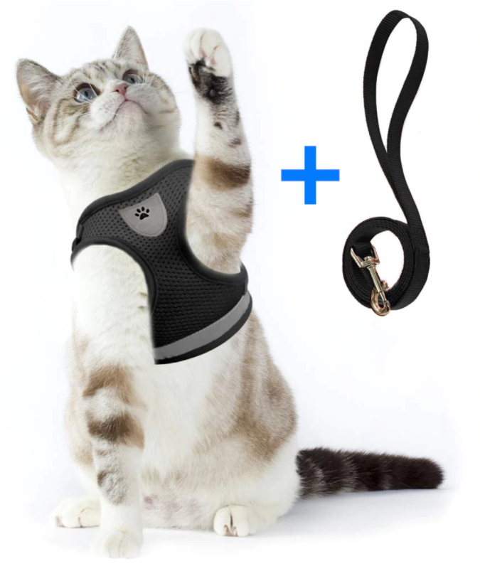 Kattsele med koppel för äventyr 7