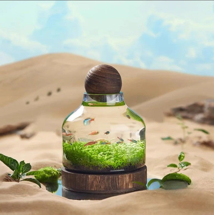 Kompakt Fiskakvarium i Glas 0