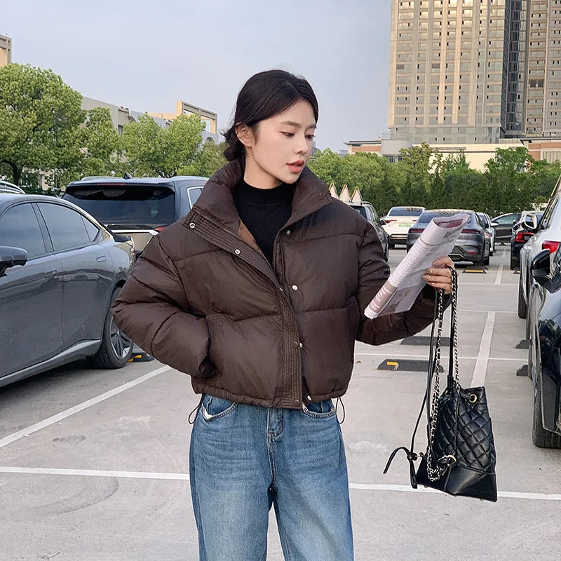 Kort Vinterjacka Dam Puffer med Ståkrage 3