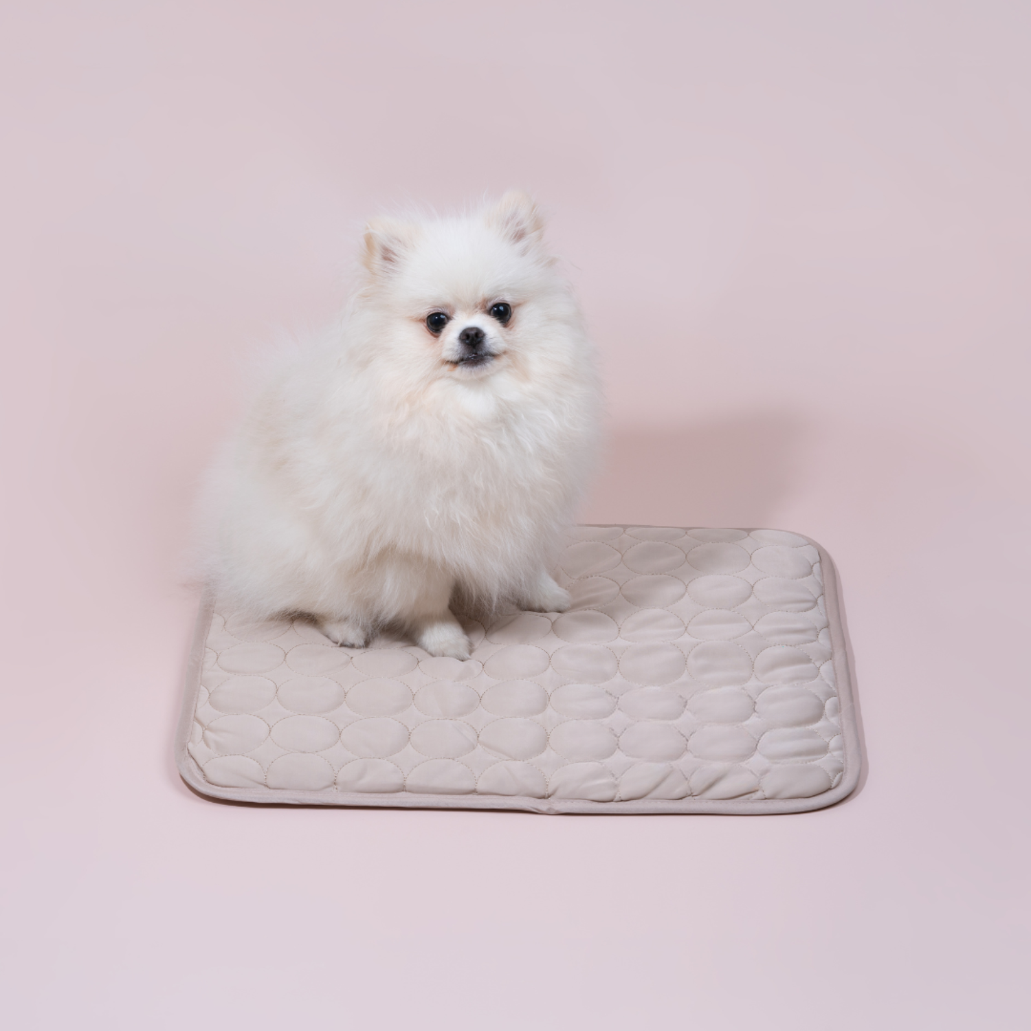 Kylmatta för hundar ChillComfort 3