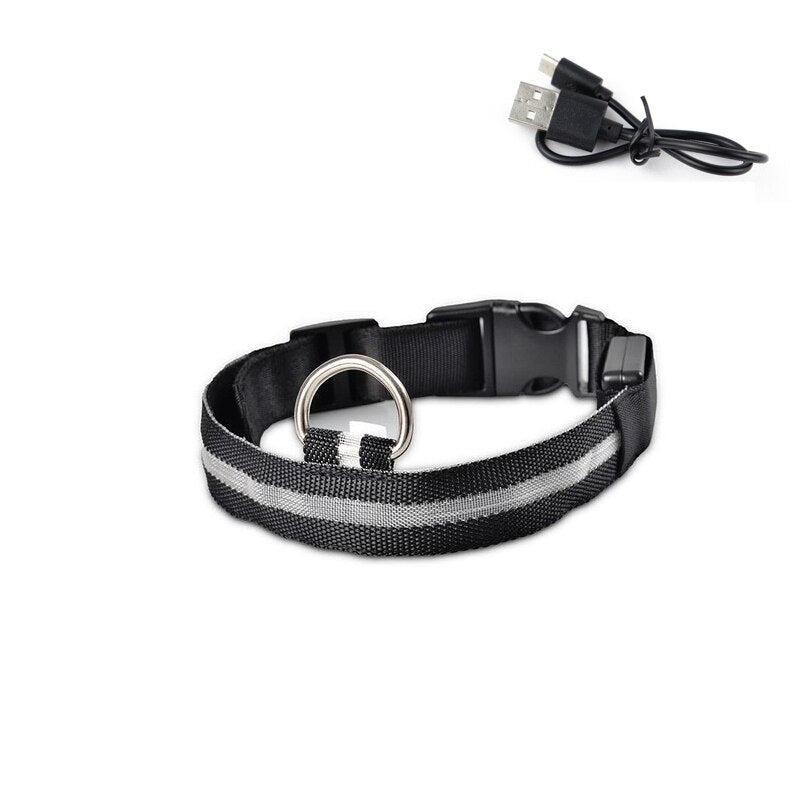 Glödande Hundkoppel