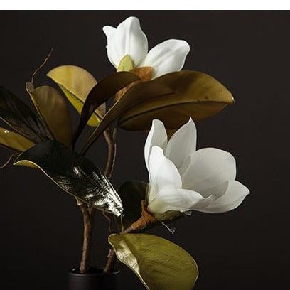 Magnolia Blomma Dekoration För Hemmet Naturlig Design 6