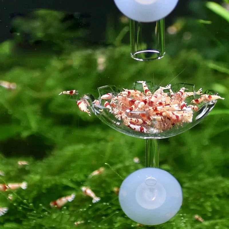 Räkmatskål För Akvarium Praktisk Design 3