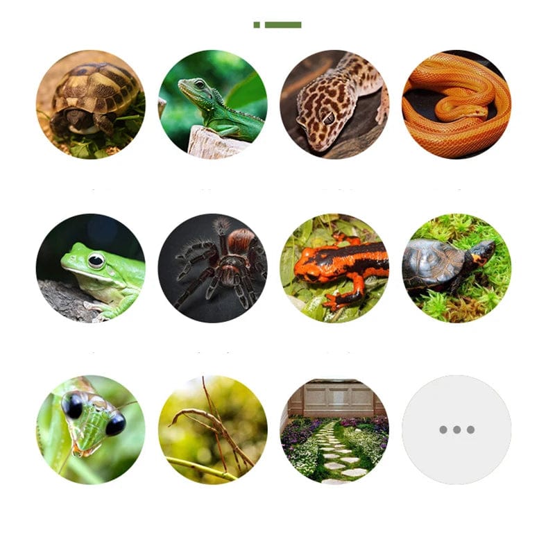 Reptil Djurmossa Matta för Heminredning 5