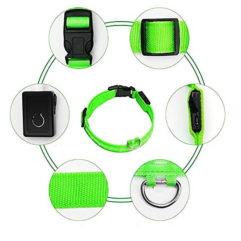 Glödande Hundkoppel