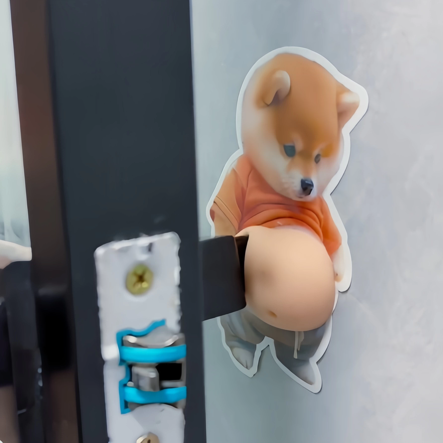 Söt Shiba Silikondekalskydd 1
