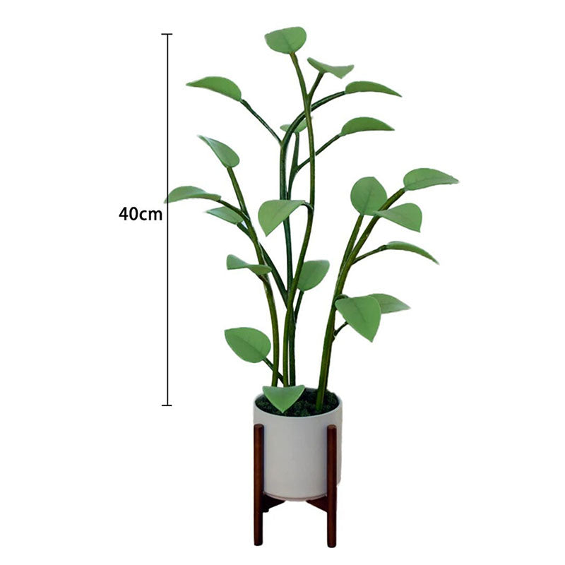 Växtlampa LED Med Färgskiftande Belysning För Hemmet 2