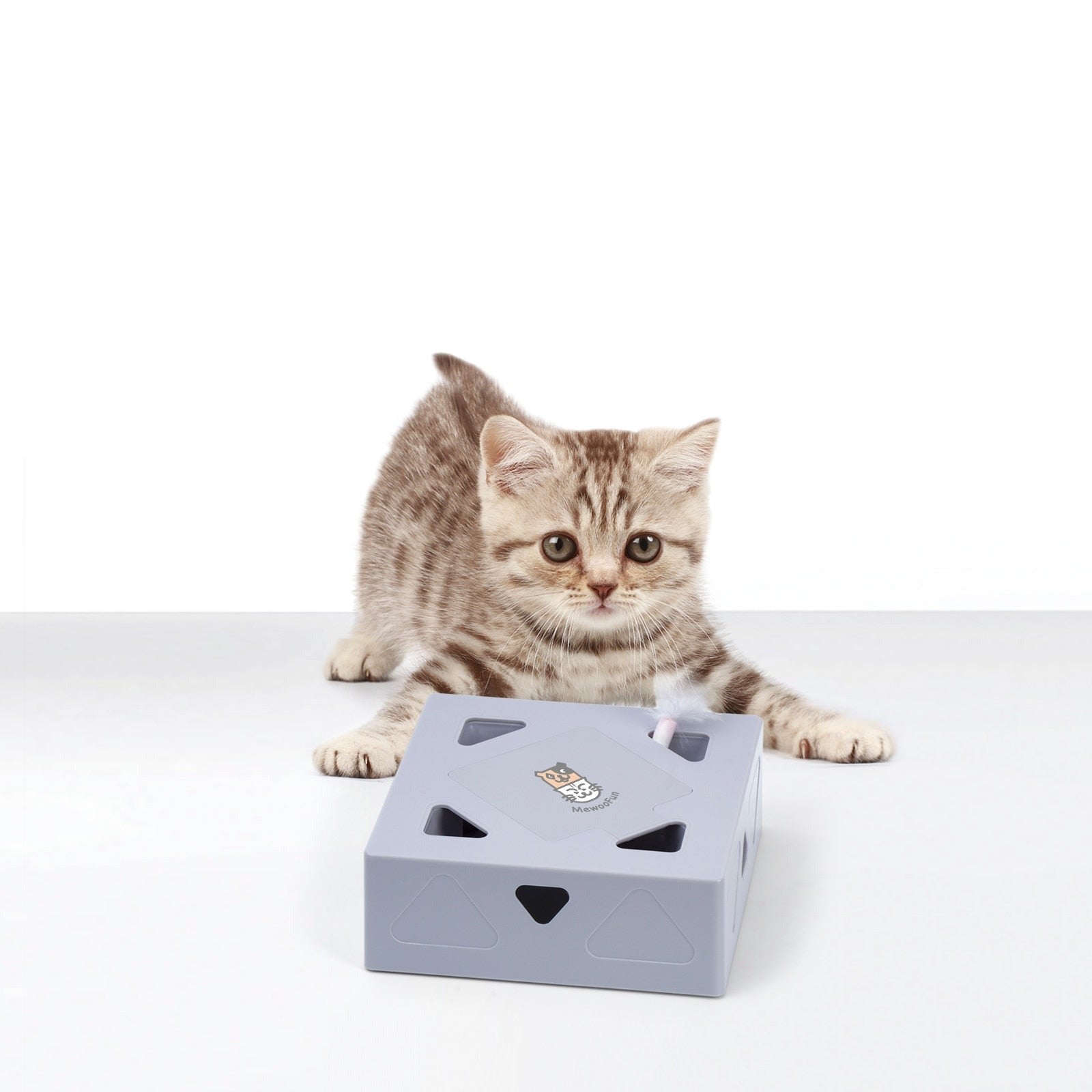 Automatisk kattleksak fjäder