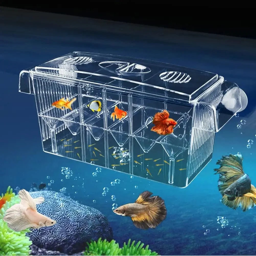 Akvarium Avel Box Transparent Dubbellager för Fiskar 0
