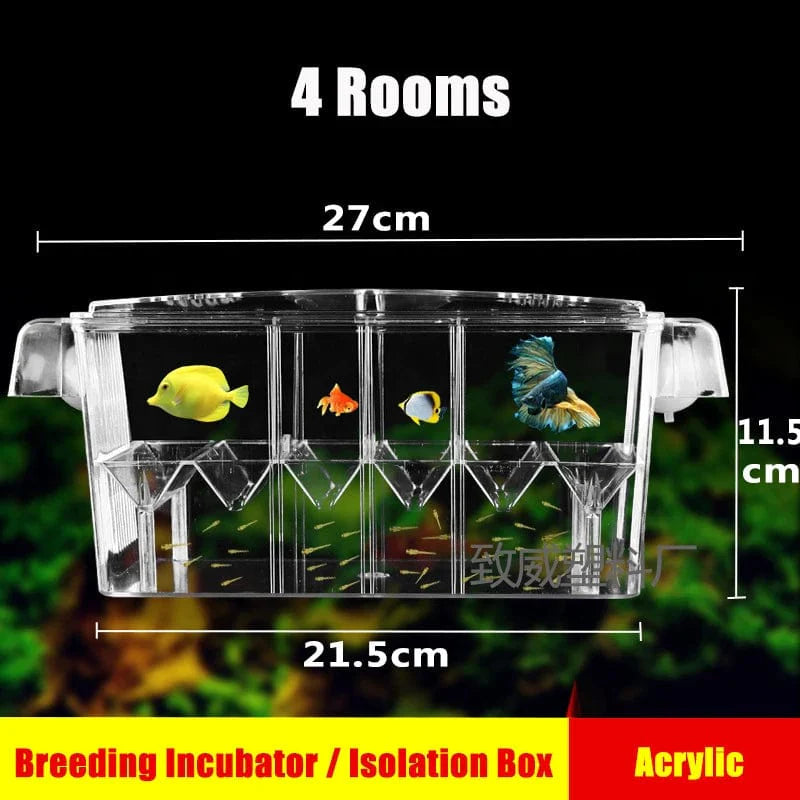 Akvarium Avel Box Transparent Dubbellager för Fiskar 1
